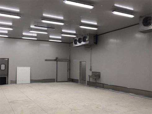 食品速冻型深夜免费网站建造费用