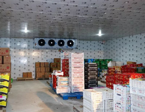 生鲜深夜免费网站建造价格