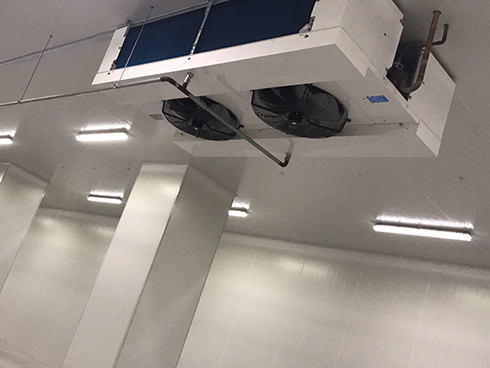 食品深夜免费网站建造安装费用