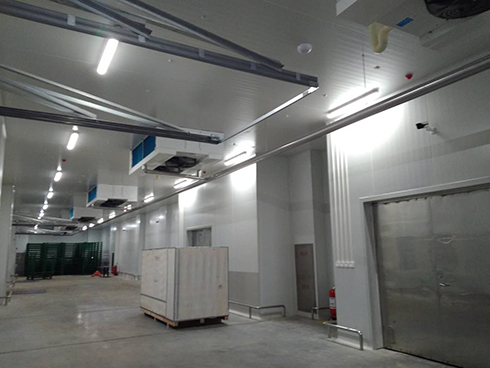 食品深夜免费网站建造安装费用