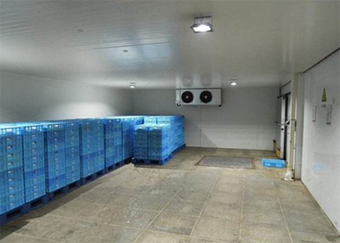 海鲜物流冷藏库建设费用