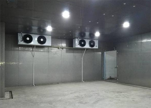 食品深夜免费网站建造造价