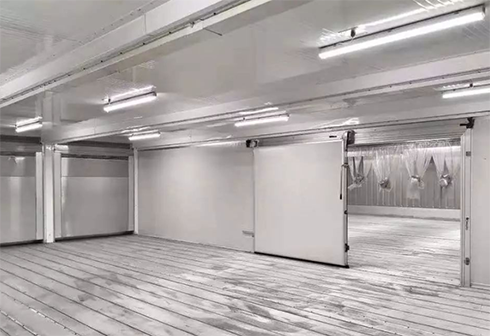 食品深夜免费网站建造安装