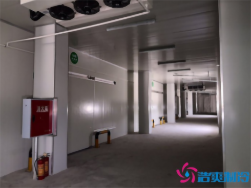 食品深夜免费网站建造公司