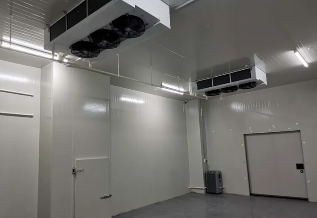 建造食品深夜免费网站