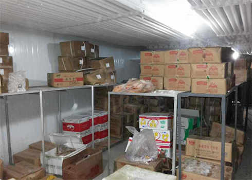 食品物流深夜免费网站建造