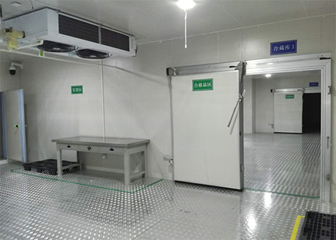 海鲜速冻深夜免费网站建造价格