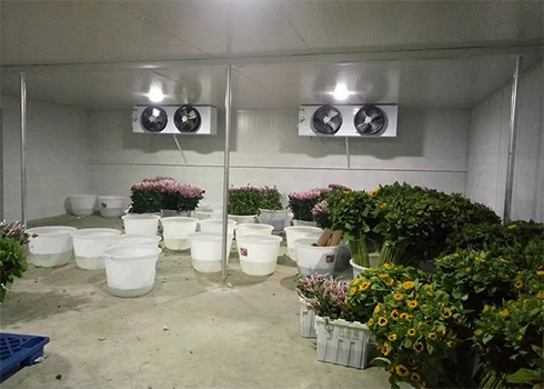 鲜花保鲜深夜免费网站建造