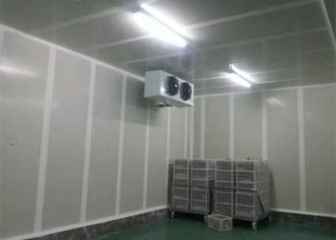 食品深夜免费网站建造安装