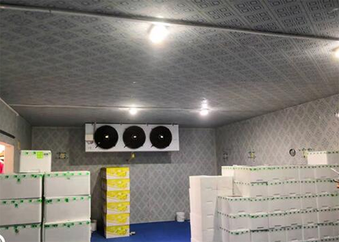 食品深夜免费网站建造安装