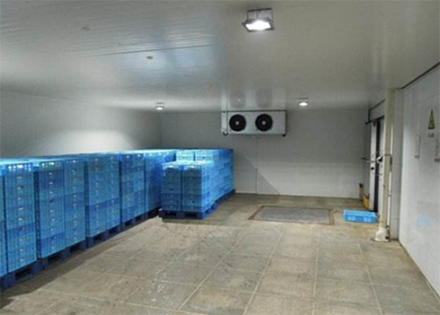 食品深夜免费网站建造安装公司