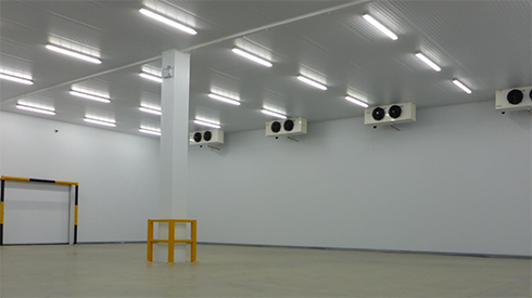 保鲜深夜免费网站建造