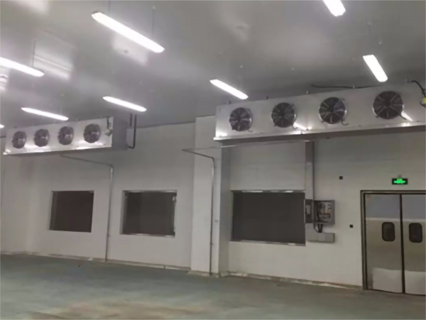 保鲜深夜免费网站耗电量的影响因素