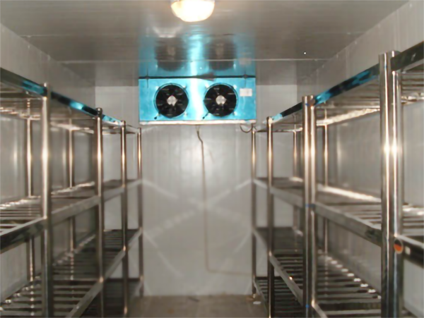 速冻深夜免费网站建造安装