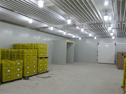 水果深夜免费网站建设特点