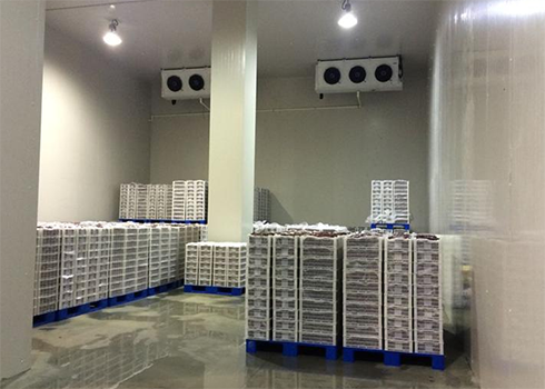 食品冷冻库建造多少钱 食品冷冻库建造多少钱