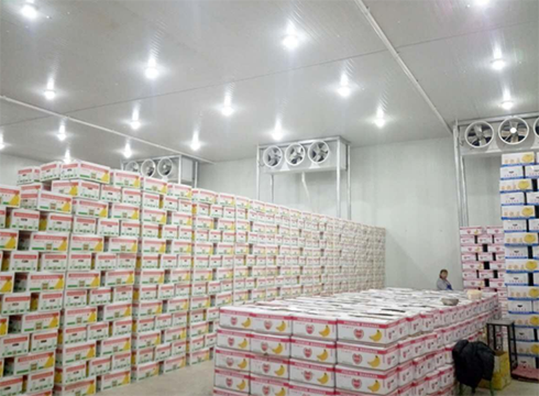 大型食品深夜免费网站建造