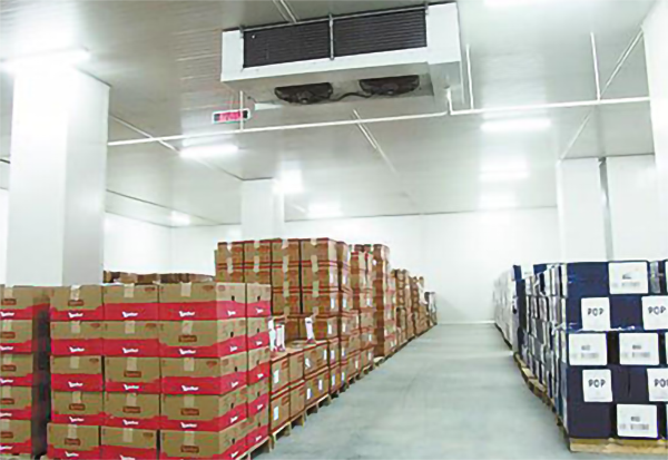 速冻深夜免费网站建造注意事项