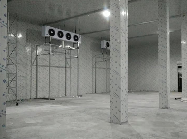 速冻深夜免费网站建造注意事项