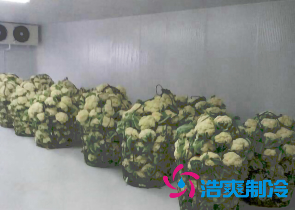 食品深夜免费网站保鲜库设计安装方案及其储藏效果
