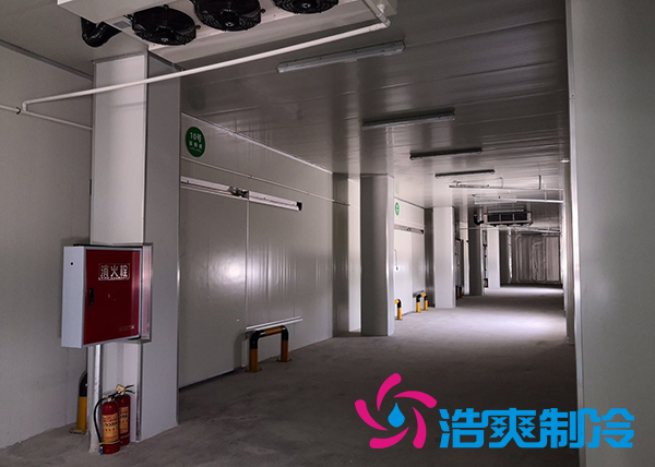 建造一个港口冷链深夜免费网站价格是多少钱？