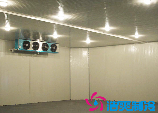 建造一间海参低温冷冻库大约需要多少费用？