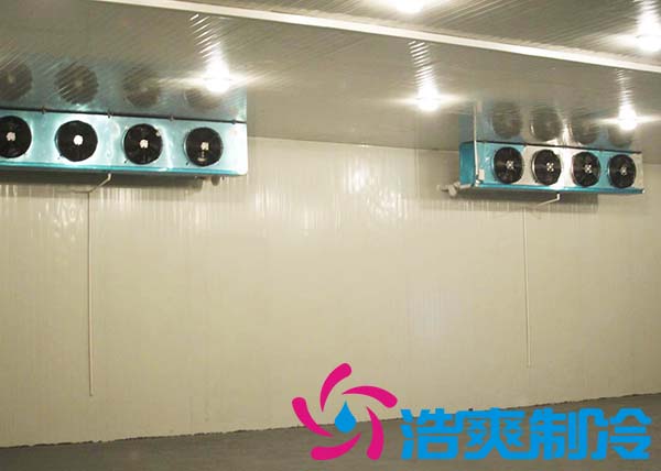 建造一间海参低温冷冻库大约需要多少费用？