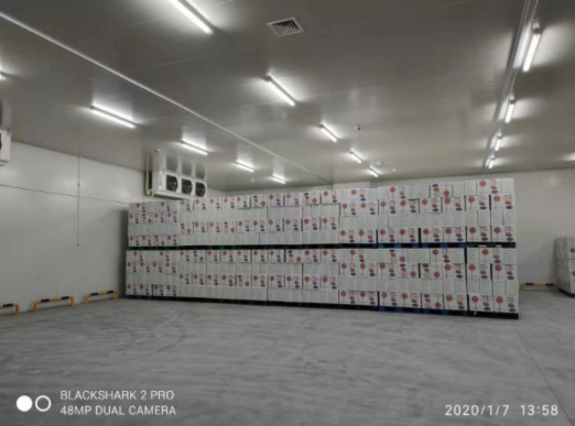 水果蔬菜深夜免费网站建造对库温设计有何要求？_深夜在线视频制冷