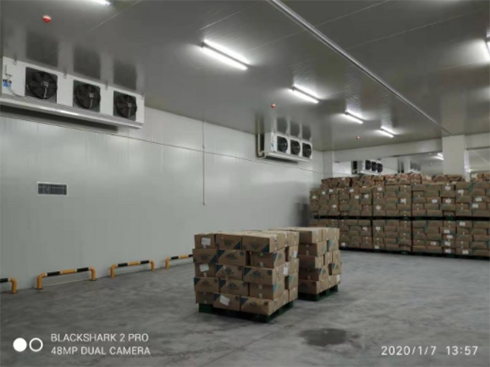 水果蔬菜深夜免费网站建造对库温设计有何要求？_深夜在线视频制冷
