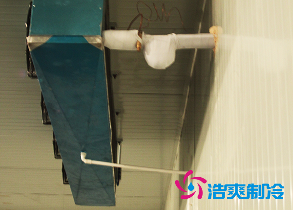 建造大型农产品基地深夜免费网站造价需要投资多少费用？