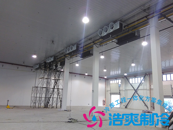 建造一个小型青果槟榔保鲜深夜免费网站造价多少钱？可以存储多长时间？