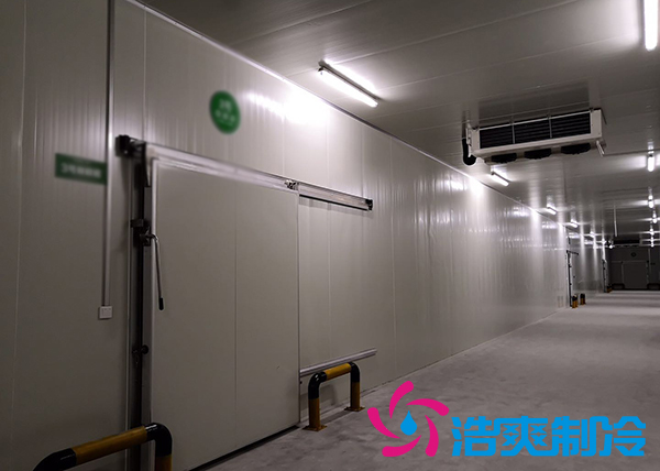 储藏5万斤蒜苔的保鲜深夜免费网站造价需要花费多少钱？_深夜在线视频制冷