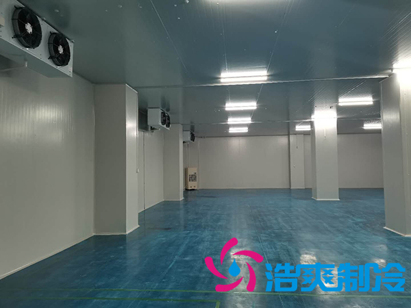 滨州健源大型食品深夜免费网站工程建造安装案例