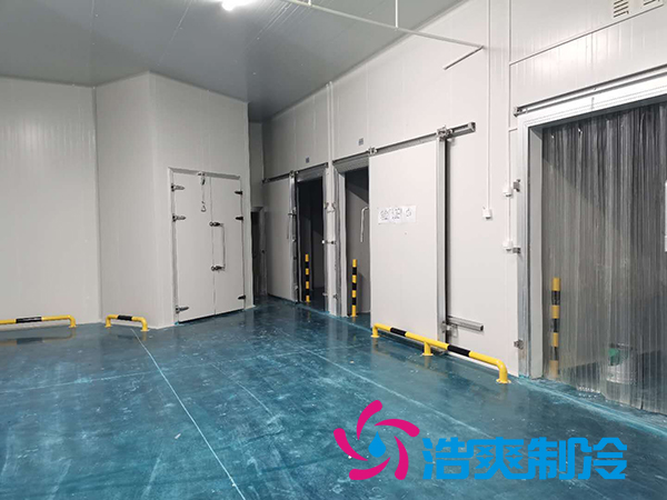 滨州健源大型食品深夜免费网站工程建造安装案例