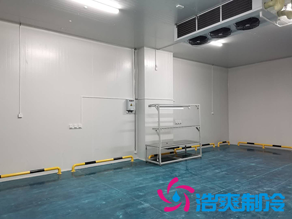 滨州健源大型食品深夜免费网站工程建造安装案例