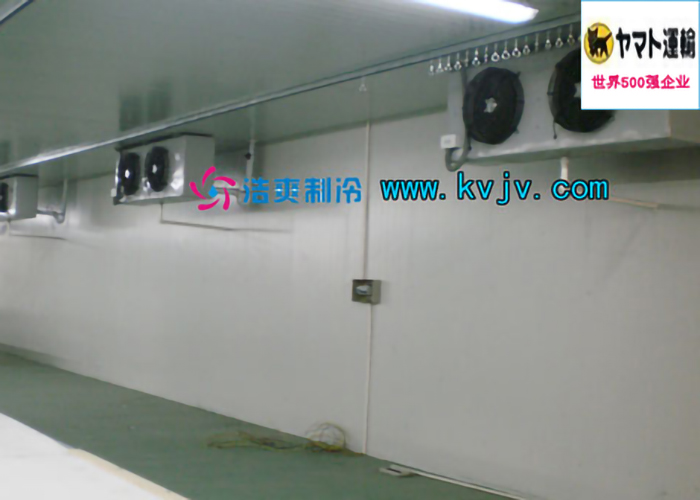 雅玛多（中国）大型物流深夜免费网站设计建造工程案例
