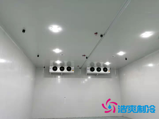 超低温冻库建设价格与哪些因素有关？_深夜在线视频制冷
