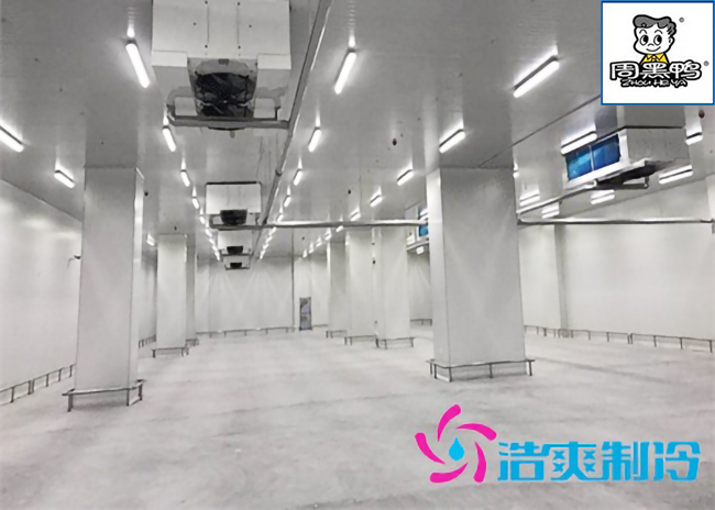 湖北周黑鸭80000m³生产加工成品低温物流深夜免费网站施工工程案例