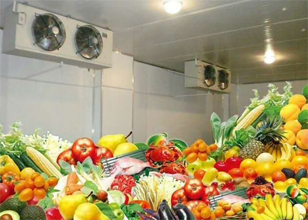 蔬菜深夜免费网站建造存储温度及贮藏时间_深夜在线视频制冷