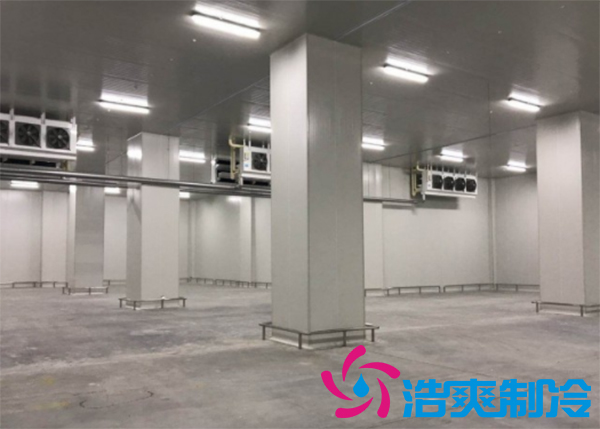 食品冷冻库建造需要多少成本？_深夜在线视频制冷