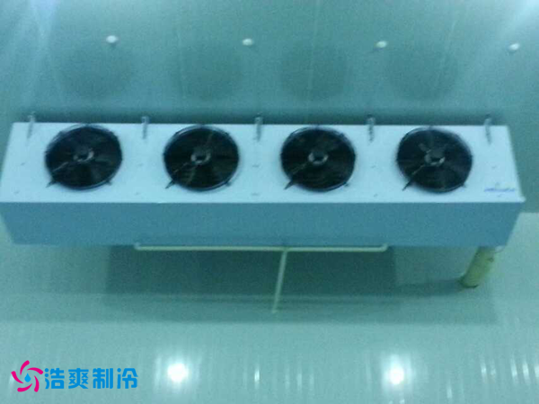 干果保鲜深夜免费网站安装