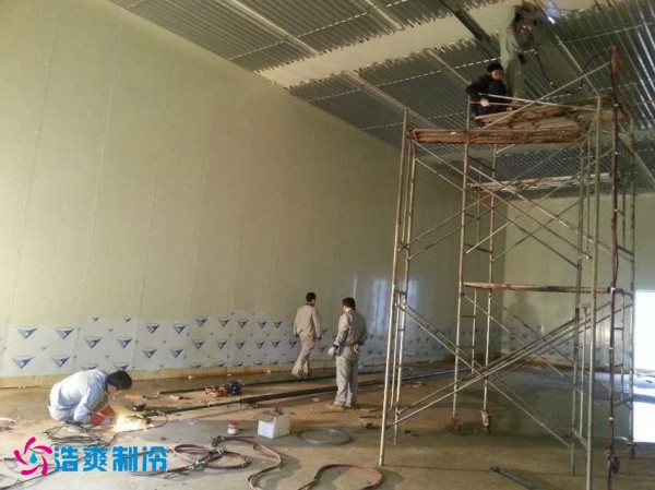 宜宾市娥天歌食品有限公司食品深夜免费网站建造工程