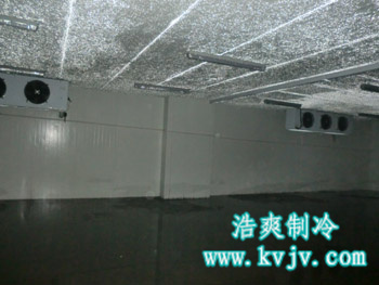 成都环球会展配送中心大型深夜免费网站