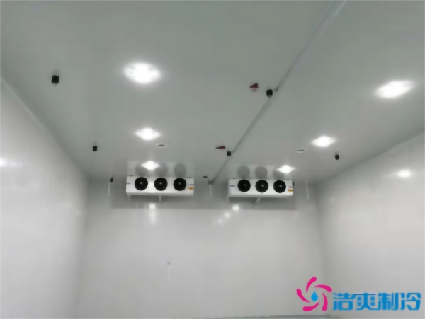 茄子气调深夜免费网站安装存储方法_深夜在线视频制冷