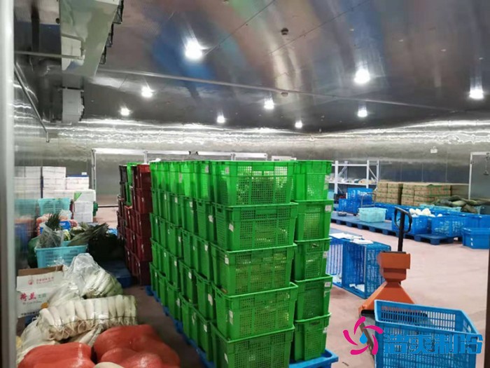 上海儒汇净菜中央厨房深夜免费网站建造工程案例