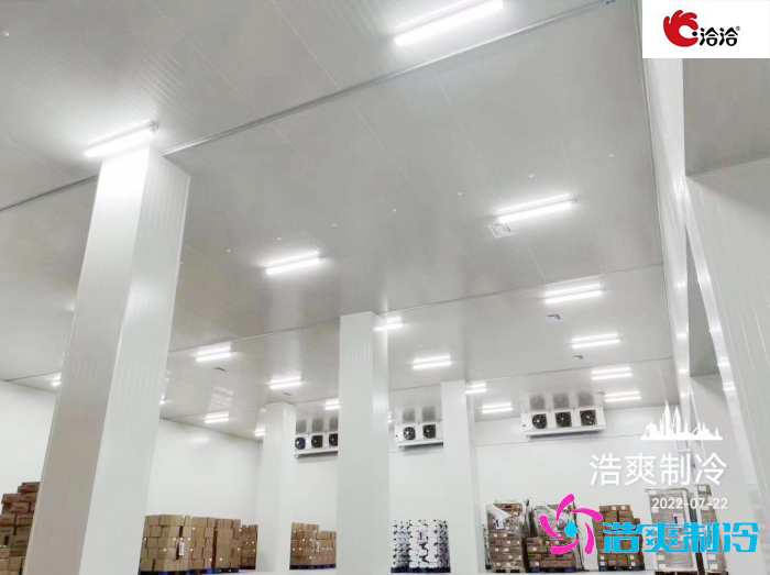 长沙洽洽5000立方食品深夜免费网站建造工程