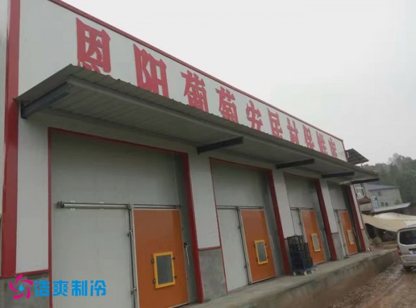 巴中葡萄种植合作社气调保鲜深夜免费网站建造