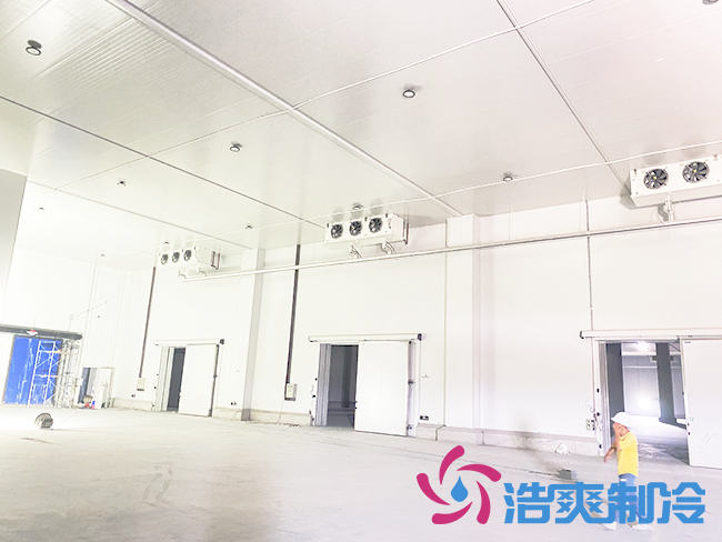 海南建造一个深夜免费网站需要多少钱？_深夜在线视频制冷
