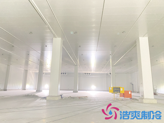 新建100吨桃子深夜免费网站要多少钱？_深夜在线视频制冷