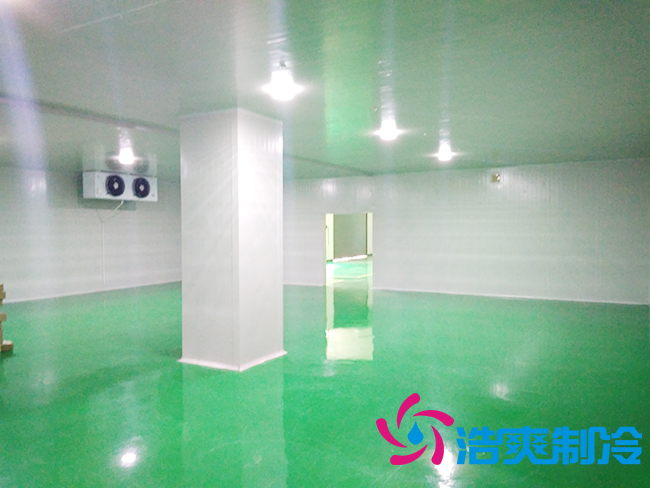 上海立净淮安百斯特农业园保鲜深夜免费网站建造